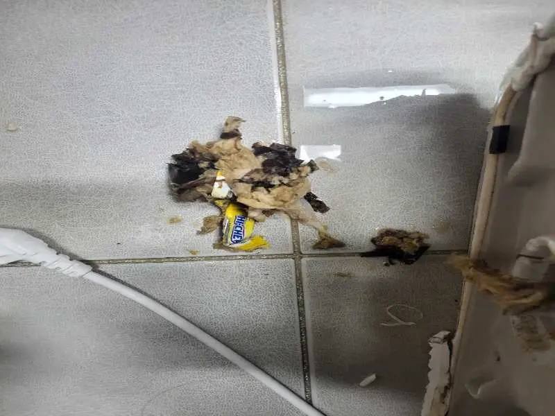 과천 물티슈가 정화조를 막는 이유
